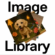 Find all your images generated with ChatGPT