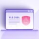 SSL/TLS certificates