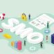 What is SMO?